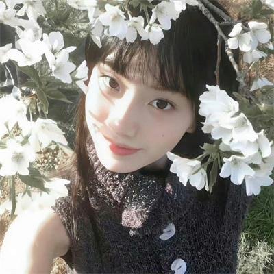 狐獴家族